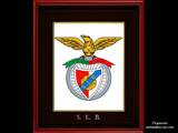 S.L.Benfica 2008/09